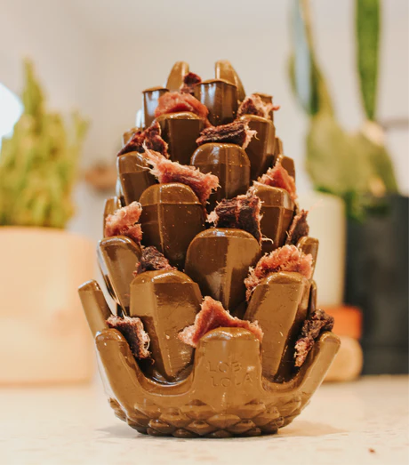 Loblolly Pinecone Puzzle Dog Toy - Image 4